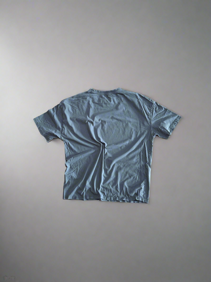 Re-Vu by DejaVu Studio Aaliyah T-Shirt