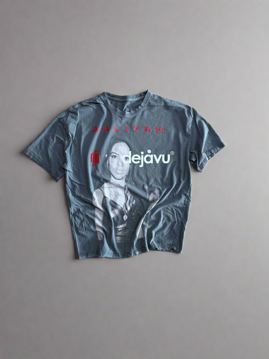 Re-Vu by DejaVu Studio Aaliyah T-Shirt