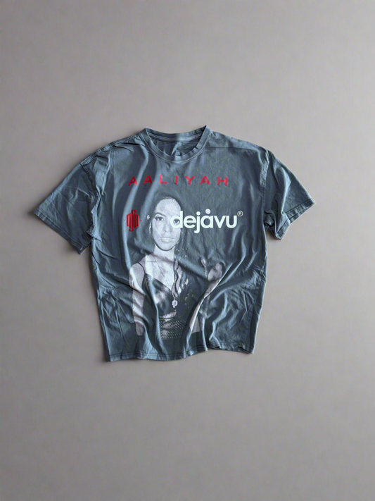 Re-Vu by DejaVu Studio Aaliyah T-Shirt