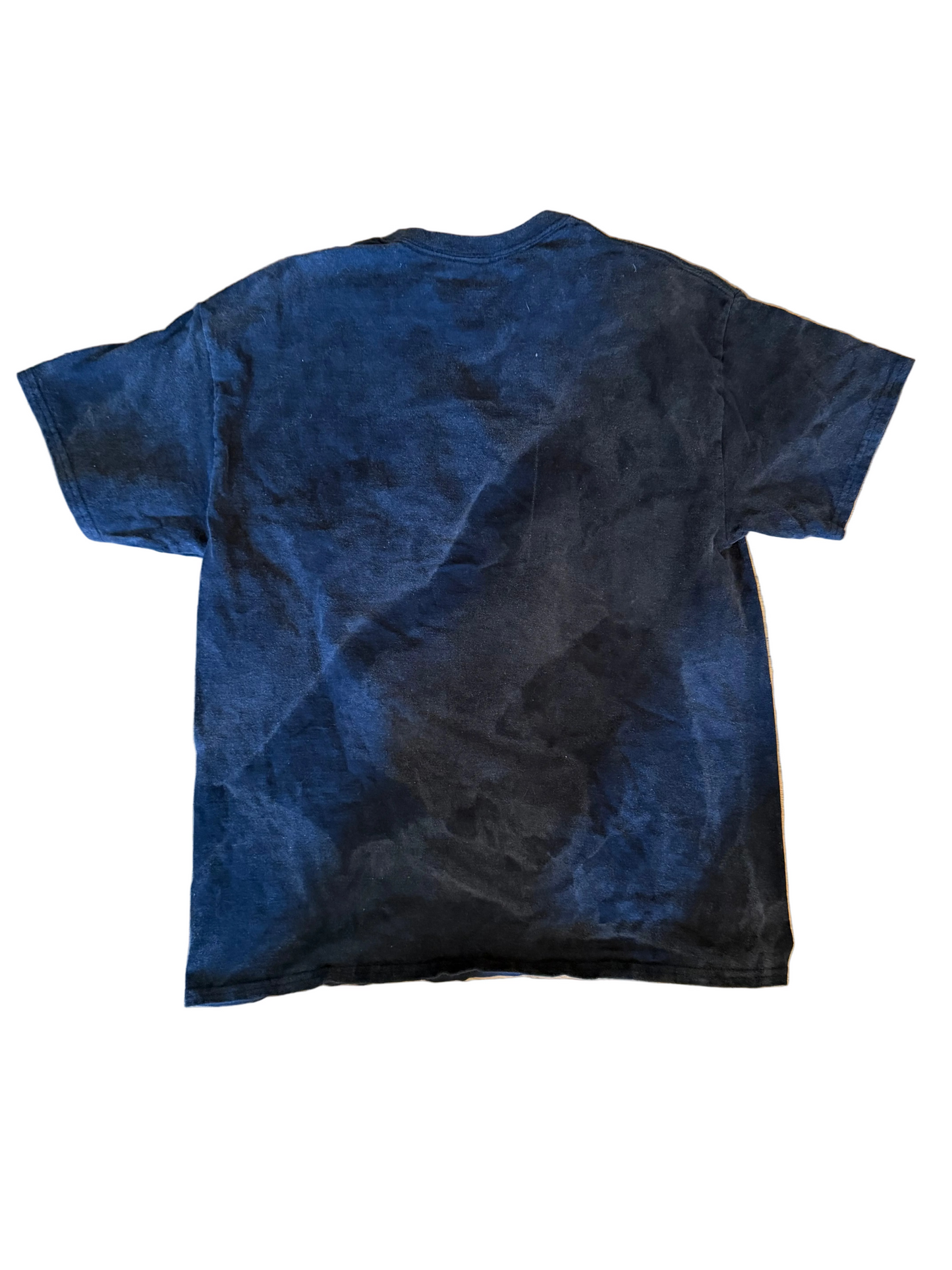 Vintage Sun Faded Distressed D’Angelo T-Shirt